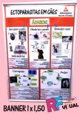 Banner Grande 1 x 1,50